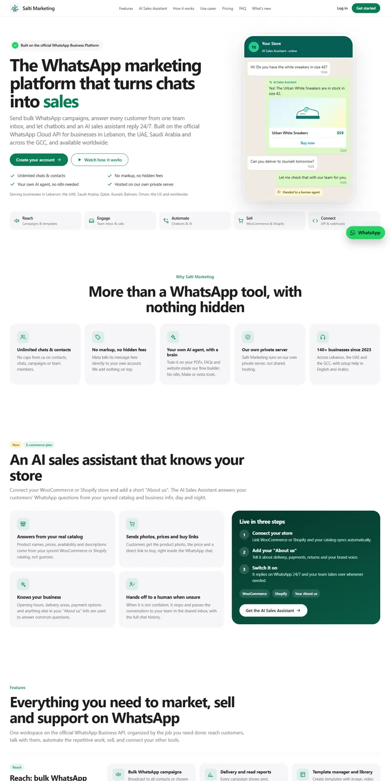 SaltiMarketing website
